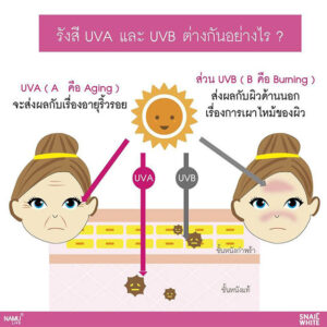 Alternative view of Namu Life Snail White Sunscreen SPF50+ PA++++ 50ml UV Protection