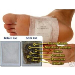 Lanna Foot Patch 10 Herbal Overnight Foot Patches