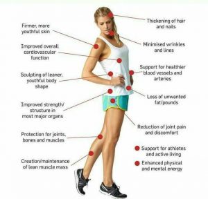 Neocell Super Collagen + C