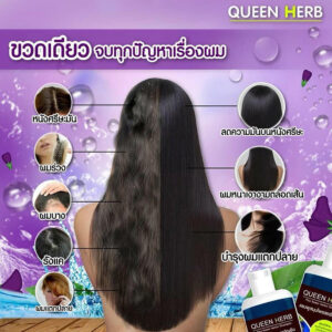Queen Herb Butterfly Pea Shampoo and Treatment 400ml set