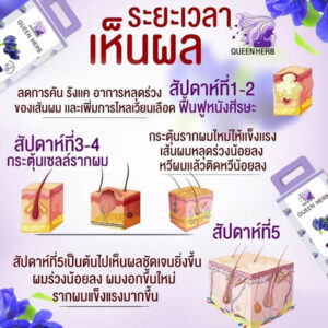 Queen Herb Butterfly Pea Shampoo and Treatment 400ml set