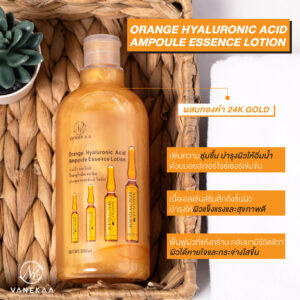 Vanekaa Orange Hyaluronic Acid Ampoule Essence Lotion 500ml