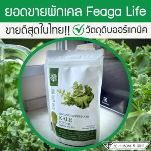 Feaga Life Organic Kale Powder 200g Superfood Supplement