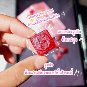 Handy Herb Dietor Gummy Day & Night