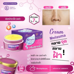 Perfect Skin Lady Melasma Breakdown Cream 20g dark spot and melasma care skincare product