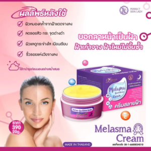 Perfect Skin Lady Melasma Breakdown Cream 20g dark spot and melasma care skincare product
