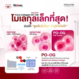 Jennie Moon Wellnex Pure Collagen PO-OG Dipeptide Powder 110g