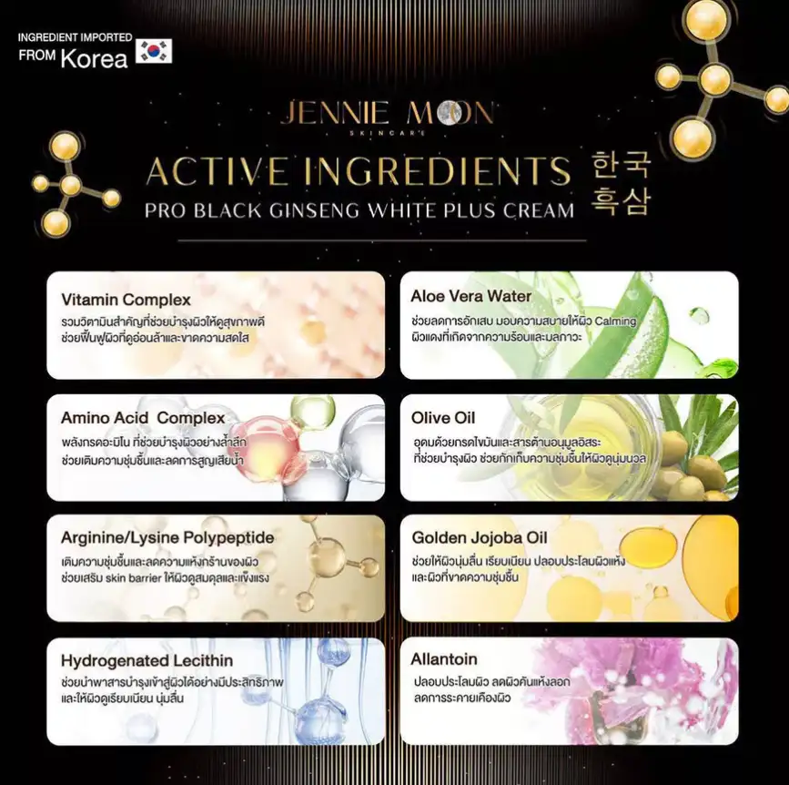 JENNIE MOON Pro Black Ginseng White Plus Cream 250ml moisturizing brightening body cream