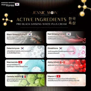 JENNIE MOON Pro Black Ginseng White Plus Cream 250ml moisturizing brightening body cream