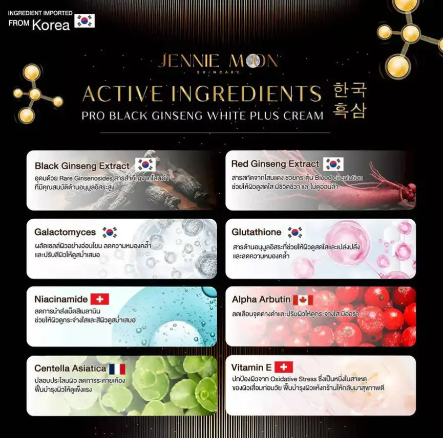 JENNIE MOON Pro Black Ginseng White Plus Cream 250ml moisturizing brightening body cream